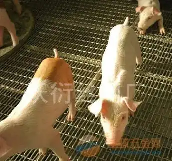  哪里卖梯子品牌哪里卖梯子采购图片批发