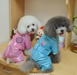 有没有牵着狗狗的情侣头像,各位万