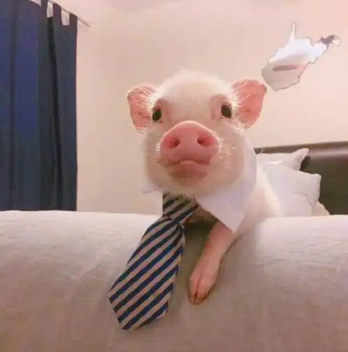  4月三生肖有贵人进门,工作旺生意好,好运又多金