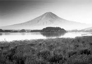  李学亮西北摄魂者第二十五期