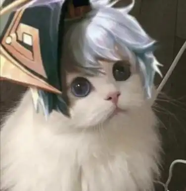  王者荣耀赢政的猫咪头像