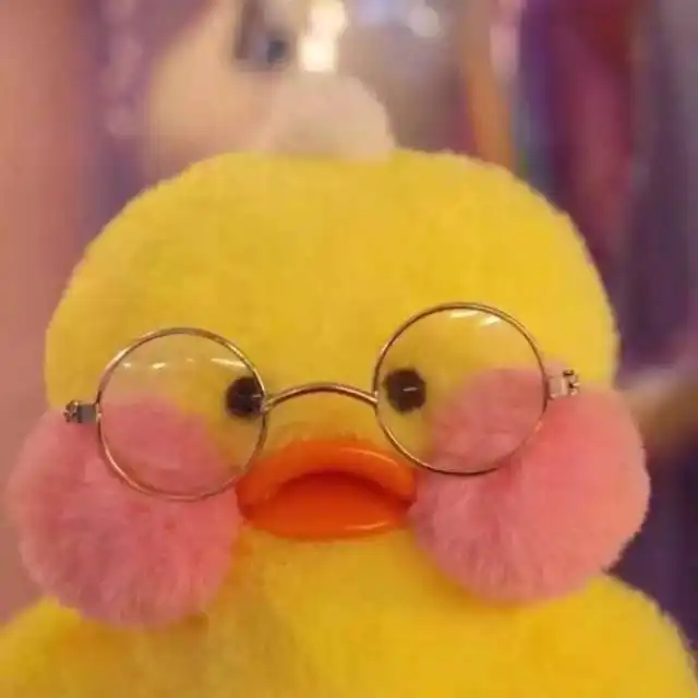  据说朋友圈头像被这只鸭子承包了