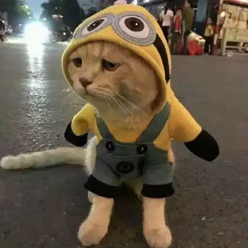  抖音超火的情侣头像