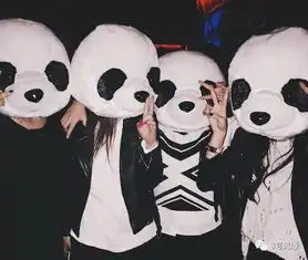  出道7年零绯闻这个流量明星最终找了个韩国女友