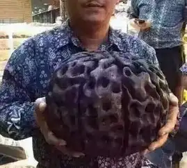  玩文玩已魔怔的奇葩玩家,穿个星月菩提背心就上天