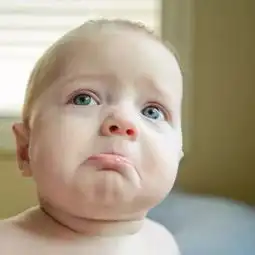  2岁的孩子大脑中控制情绪的额叶区刚开始发育,最容易激动