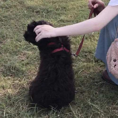  好看的真人头像男生,女生,情侣头像