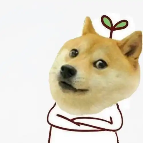  meme的是什么如何翻译最好