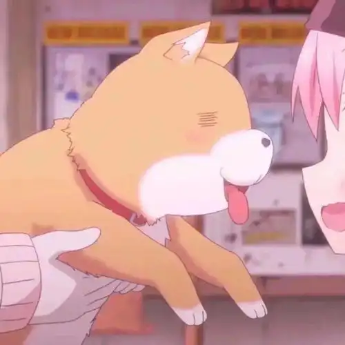  动漫情侣头像丨另一半不是人系列