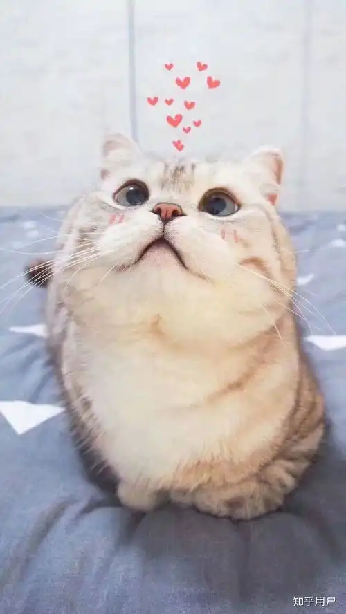  能不能在淘宝买氧化锌和二氧化钛粉末自制防晒霜