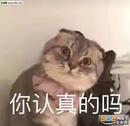  你认真的吗表情包安排上了表情包图片下载乐游网游戏下载