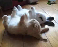  收录优美的图片