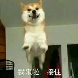  比喀纳斯还美三分的天山北麓秘境,现在有一个玩3天不花一分钱的机会,就问你要不要