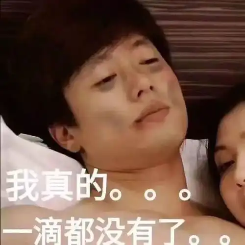  笑死,蓝猫一夜骑5只母猫,累到住院打葡萄糖