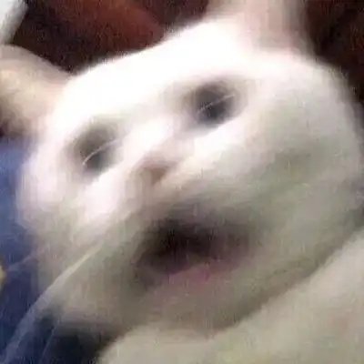  有哪些又可爱又有创意的基友头像