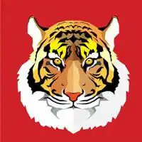  卡通老虎头像图片微信头像图片大全