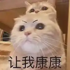  香港公务员宣誓大限已过,叫嚣辞职的黄丝们在哪呢