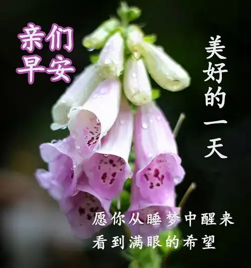  早安祝福心语,温馨带字祝福图片,开心快乐每一天早上好
