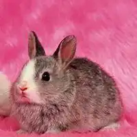  2018年最旺财的微信头像图片