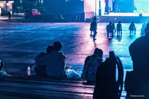  天黑后该做什么带上对象,去小森林