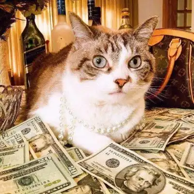  微信头像大全微信头像图片微信头像男生女生腾牛个性网