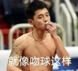  马龙战胜张继科后的相爱相杀