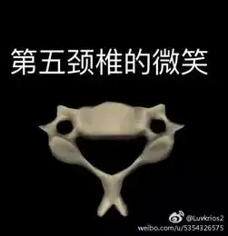  会法术会喂猪会做大力丸朋友,你大学学的到底是啥专业啊