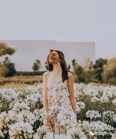 拾言丨让自己廉价的事永远不要接受西瓜