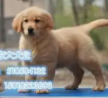 黄页88高清图片