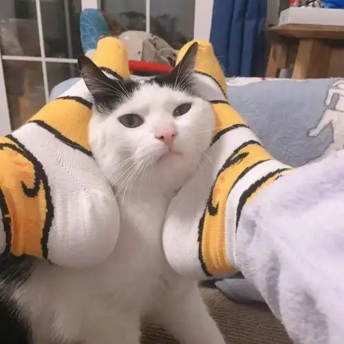  头像别人玩游戏玩到奔现你玩游戏玩到强制下线