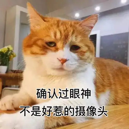  又超速了搞清楚到底怎么中招的车童进阶vol.01