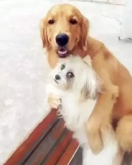  100个超好看的情侣头像