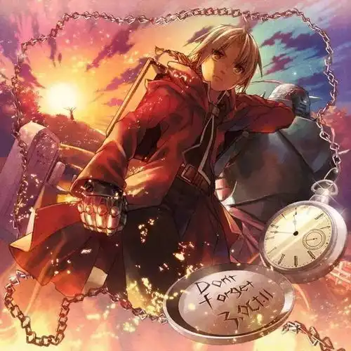  钢之炼金术师美图赏析