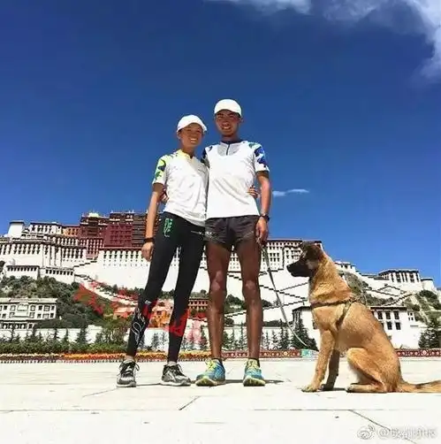  情侣带狗从杭州跑步到西藏