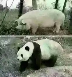  一张图片引发的思考