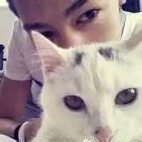  拿猫当头像的男生微信头像图片大全