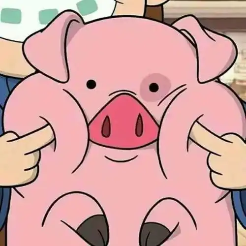  留学行李清单精致的猪猪女孩篇