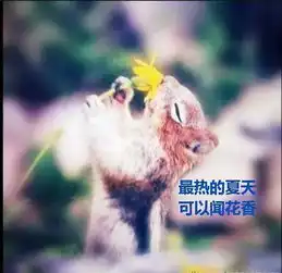  专治不开心,看完心情大好