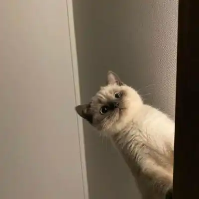  过于可爱的挖煤工