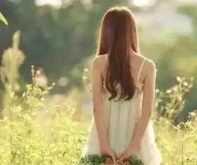  飞屋环游记空降石家庄荣盛和府荣盛御府勒泰外展即将绽放