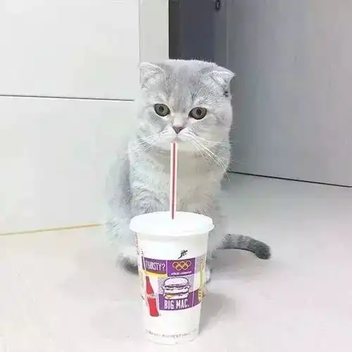  各种类型的闺蜜头像