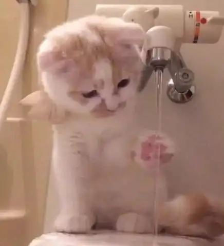  最近火了喜欢你情侣头像我喜欢你,一眼心动,两眼沦陷