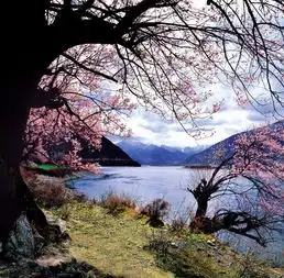 林芝风情