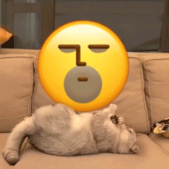  小猫咪翻滚emoji动态gif表情有魔性的小猫emoji表情图片