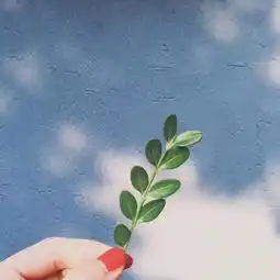  不要担心,所有的伤痛终将结束