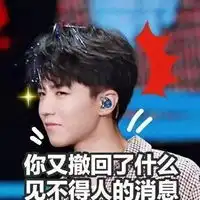  王俊凯的表情包