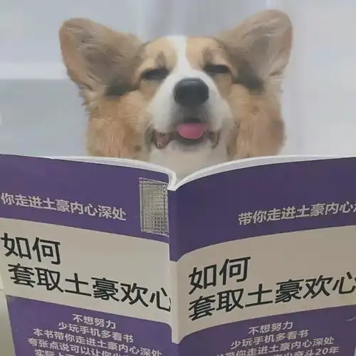  动漫头像别人都在种小麦,我种玫瑰,我饿死,浪漫不死