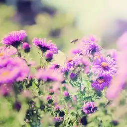  分寸伴奏冯苏高音质在线试听分寸伴奏歌词歌曲下载酷狗音乐