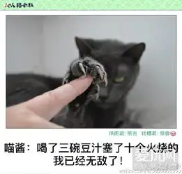 本周囧雷傻缺图784