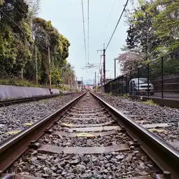  两个快乐的2b中年情侣浪迹霓虹国关西之行